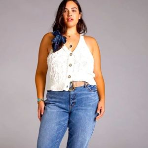 Pilcro The Slim Boryfriend Plus Jeans